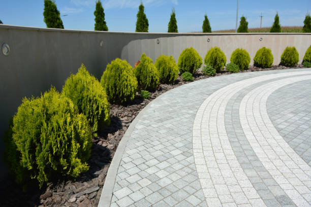 Best Brick Paver Driveways in Oakland, FL